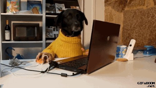hundar på jobbet i ny studie