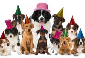  shutterstock_536162755.jpg