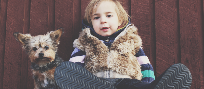 Minska problemen med hundallergi – Tips och råd