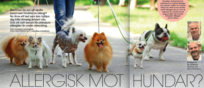 Drömmen om en hund blev sann!
