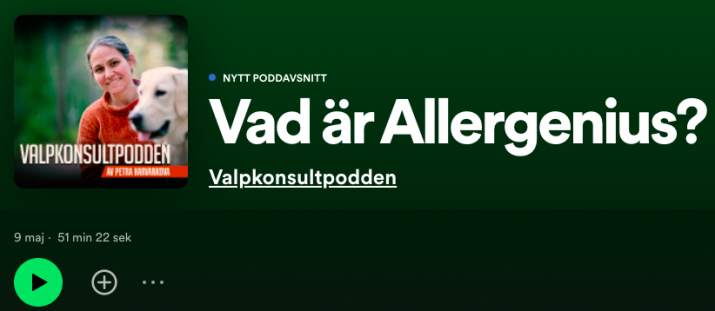  Valpkonsultpodden ­- Hur kan man skaffa hund trots pälsdjursallergi?