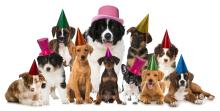 shutterstock_536162755.jpg
