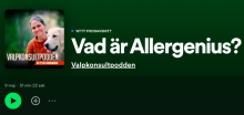 Valpkonsultpodden - Hur kan man skaffa hund trots pälsdjursallergi?