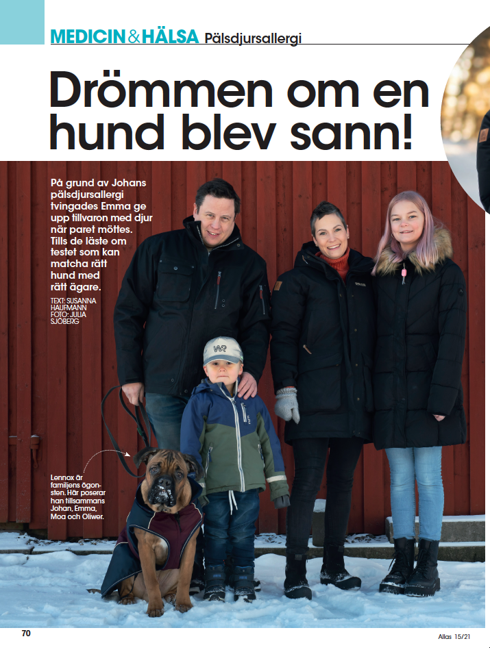 drömmen om en hund artikel i Allas